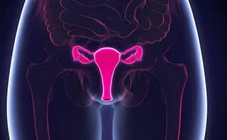 Ультрадыбыстық зерттеу (УЗИ) Ультрадыбыстық зерттеу (УЗИ)